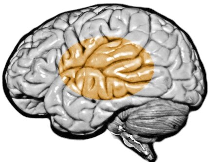 Lesson image