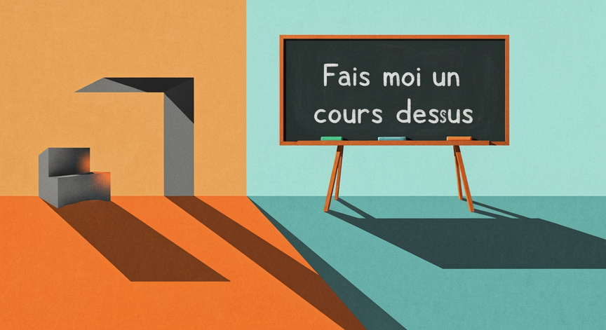 Understanding 'Fais Moi Un Cours Dessus'
