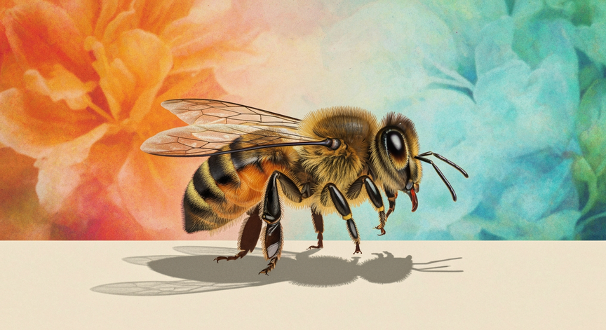 Bee Biology