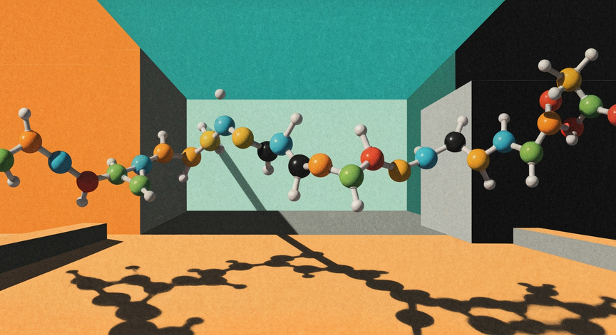 The World of Polymers