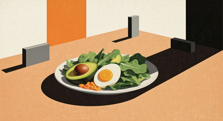 The Ketogenic Diet Explained
