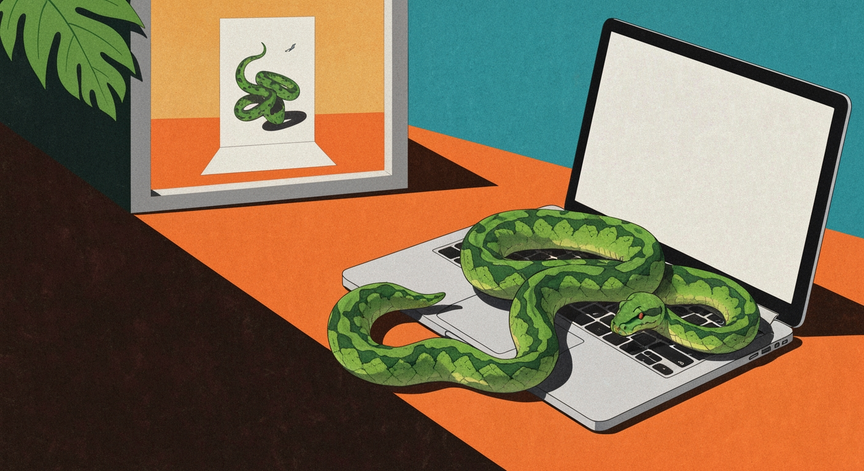 Python Programming Fundamentals