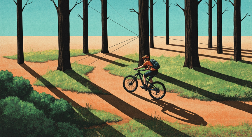 Mountain Biking Basics