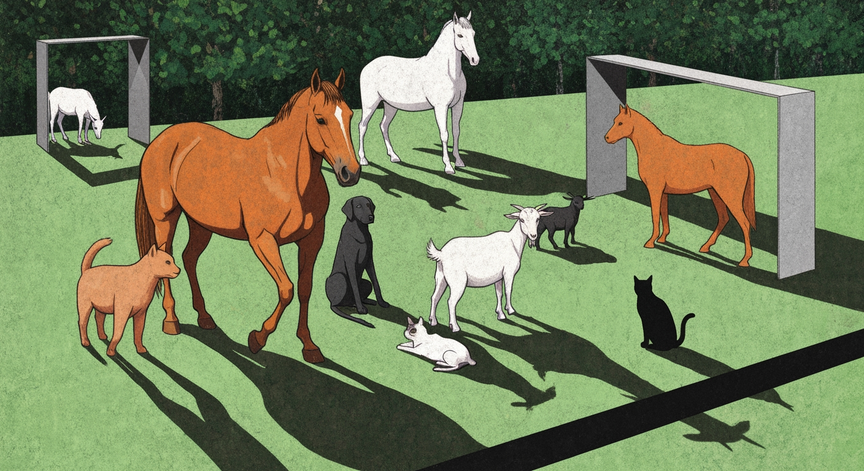 Funding Your Animal Sanctuary