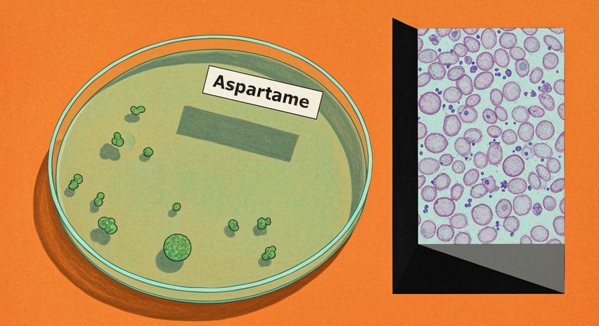 Aspartame and Cancer Risk