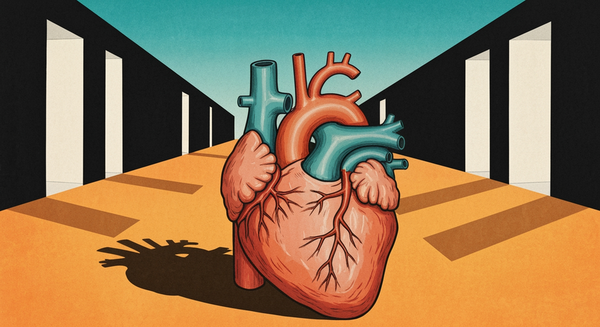 Heart Valve Leakage Explained