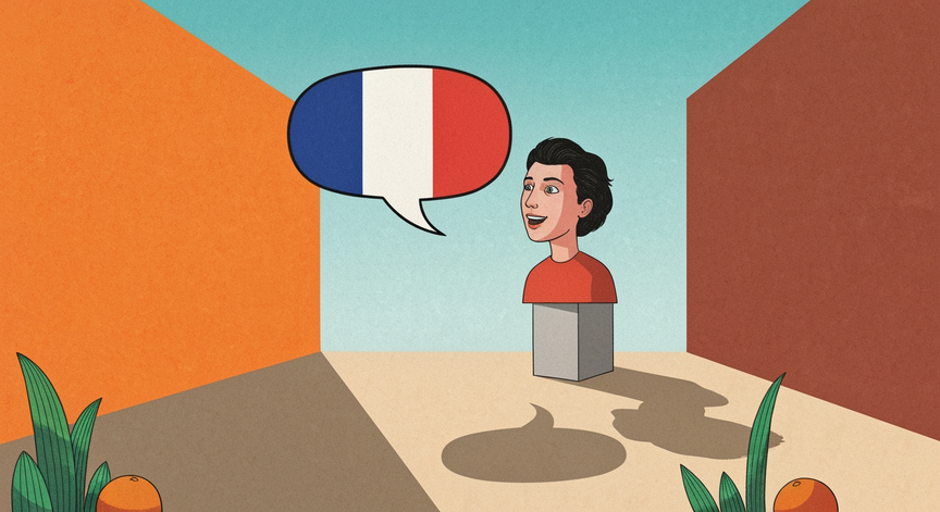 Basic French Conversation