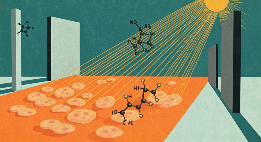 Sunlight's Metabolic Influence