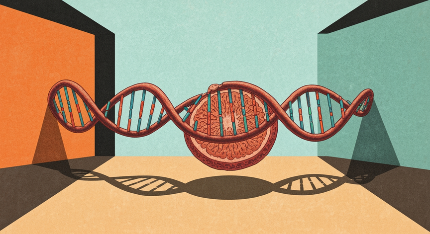 DNA and Mitochondria Explained
