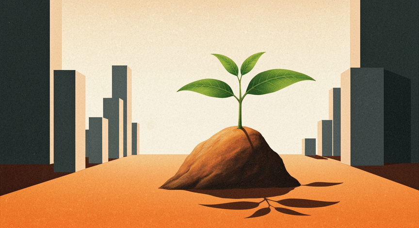 Startup Stock Options Explained