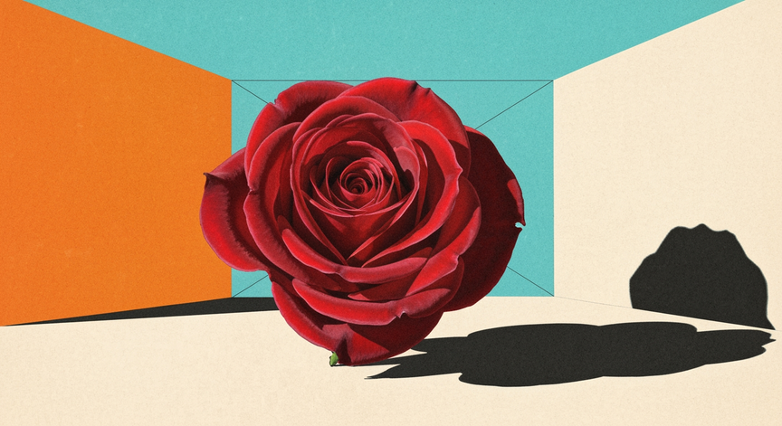 The Rose of Leary