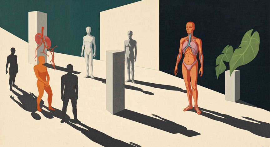Exercise Physiology Explained