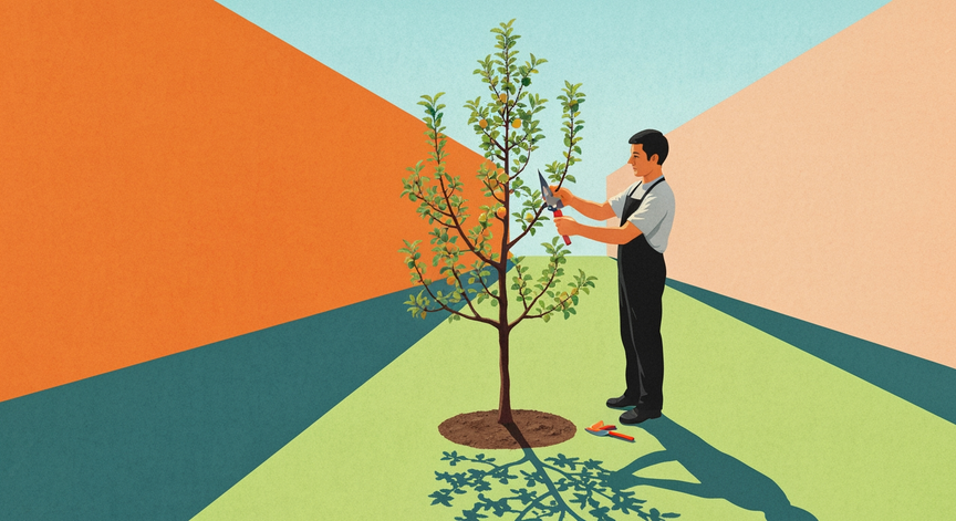 Pruning Fruit Trees for Shape and Height