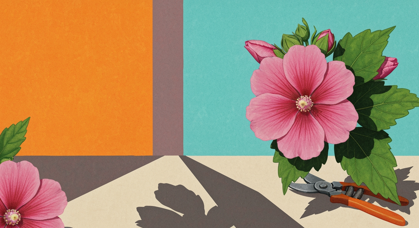 Pruning Your Rose of Sharon