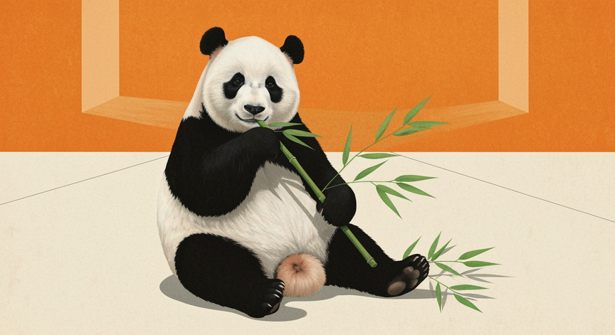 The Giant Panda