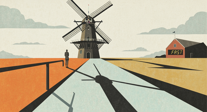Accelerated Dutch Language Learning