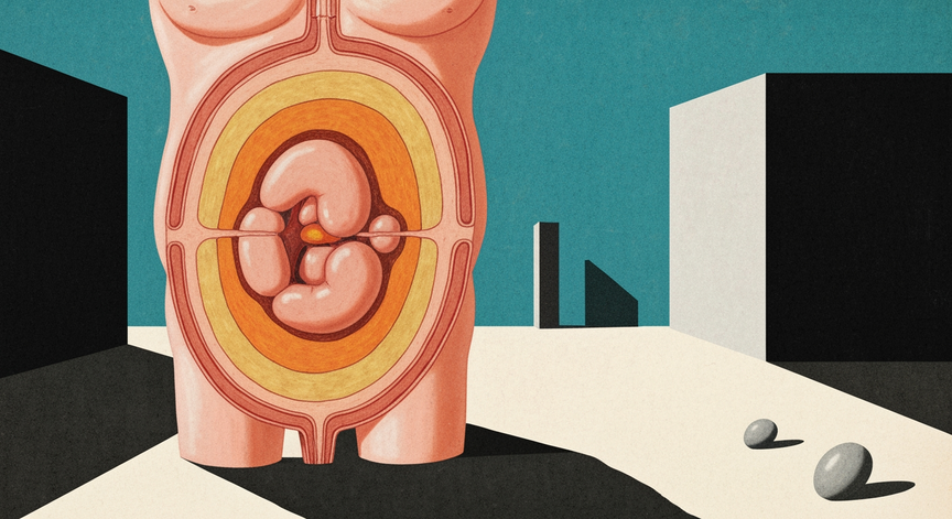 Reducing Visceral Fat