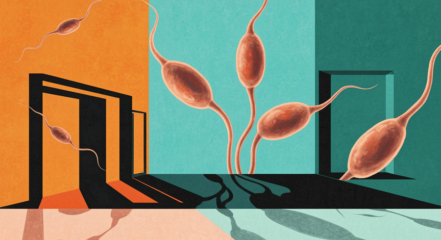Semen Retention and Testosterone