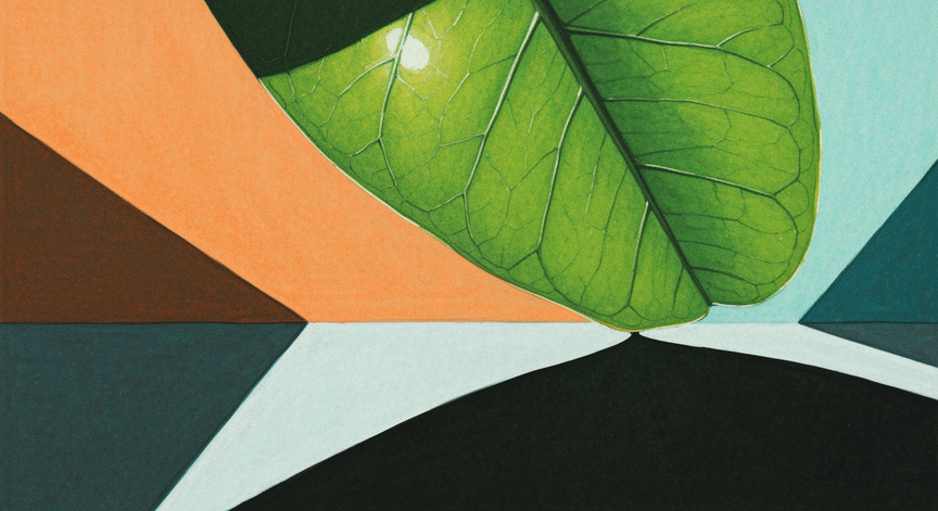 Photosynthesis Explained