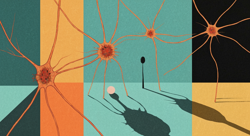 Understanding Neuropathy