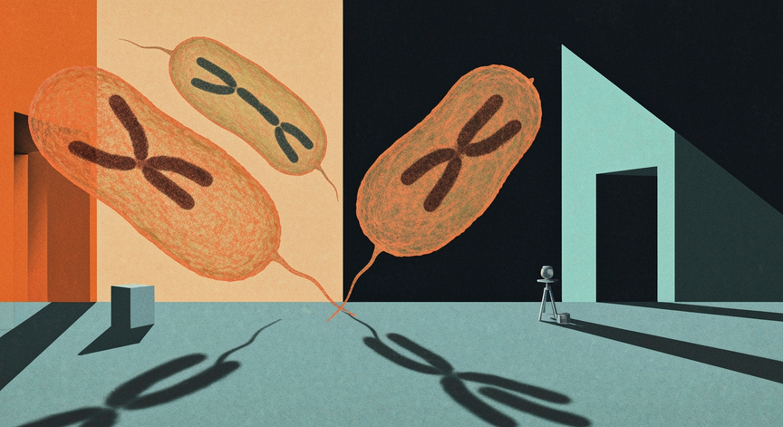 Cell Division in Medicine