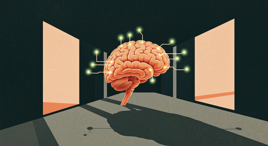 The Brains Wiring and How It Works