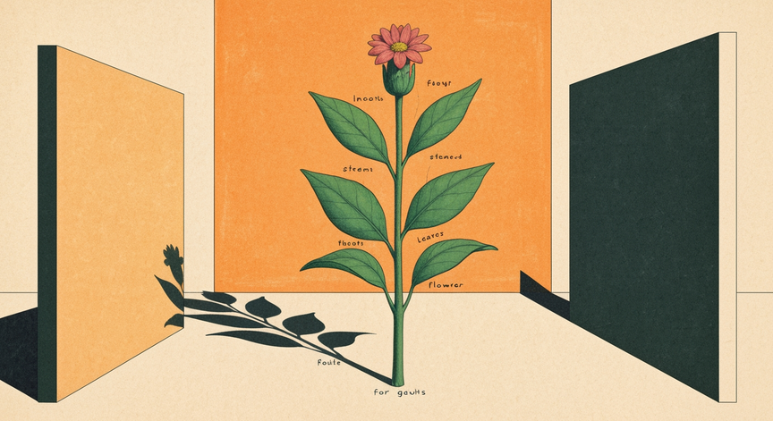 Exploring Plant Parts for Young Learners