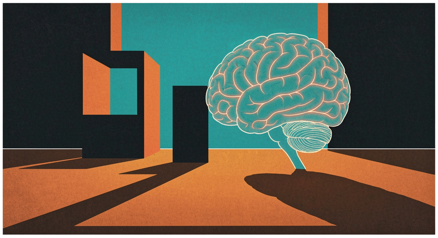 Introduction to Neuroscience
