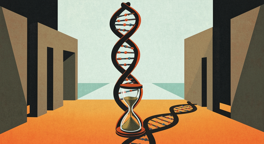 The Quest for Immortality