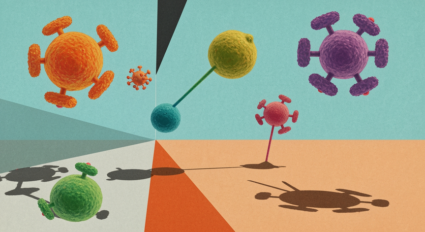 Multi-Antibody Medicine Development