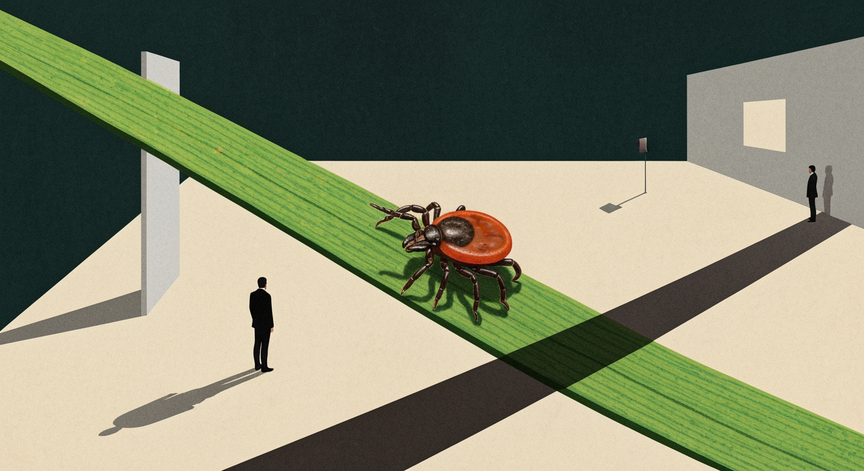 Lyme Disease Essentials