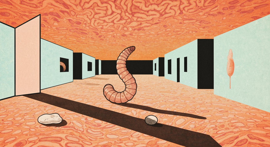 Brain Parasite Infections Explained