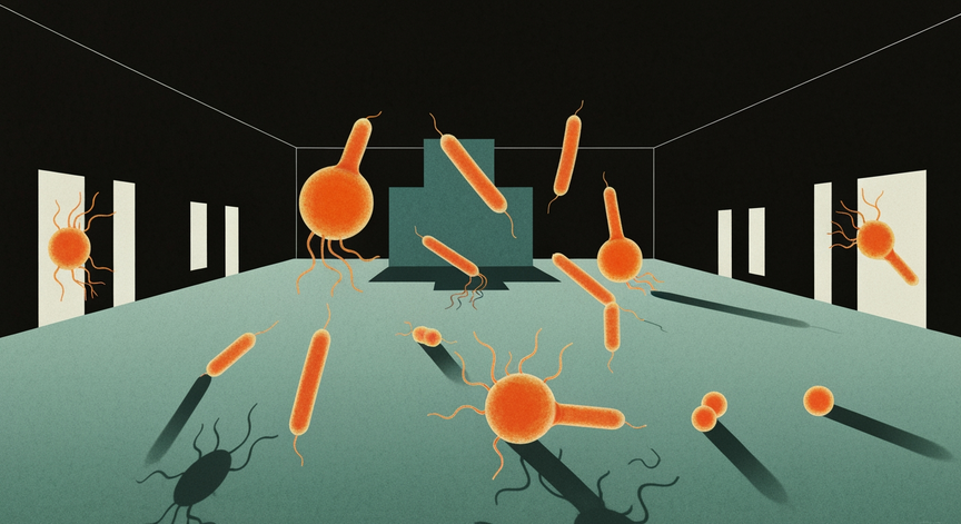 Recombinant Protein Production in Pseudoalteromonas haloplanktis