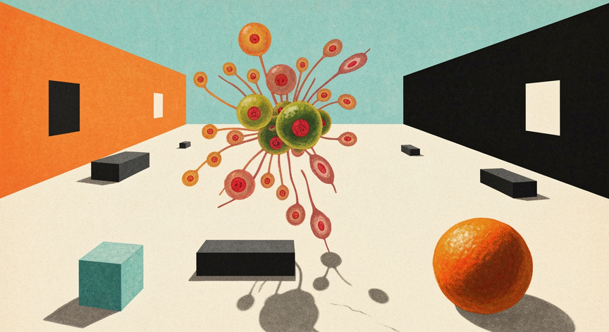 Stem Cells Explained