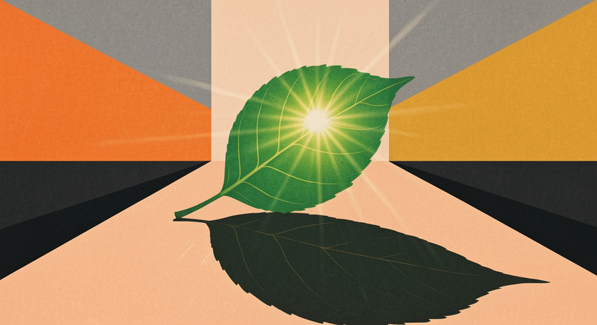 The Magic of Photosynthesis