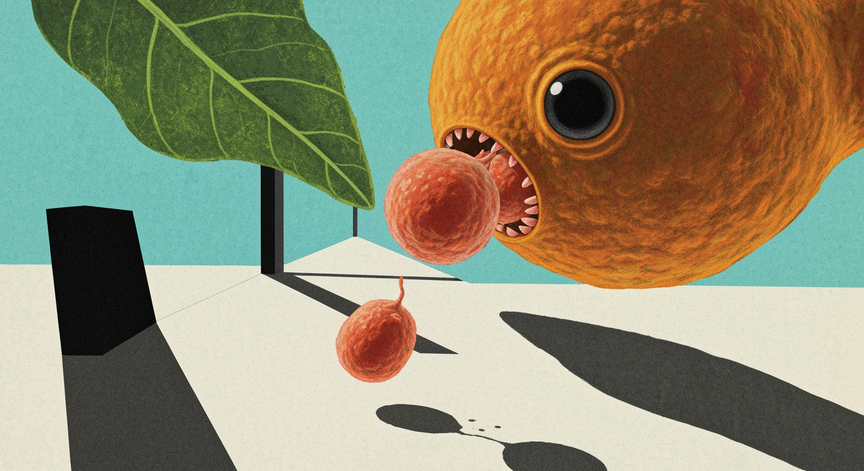 Phagocytes: The Body's Cellular Defenders
