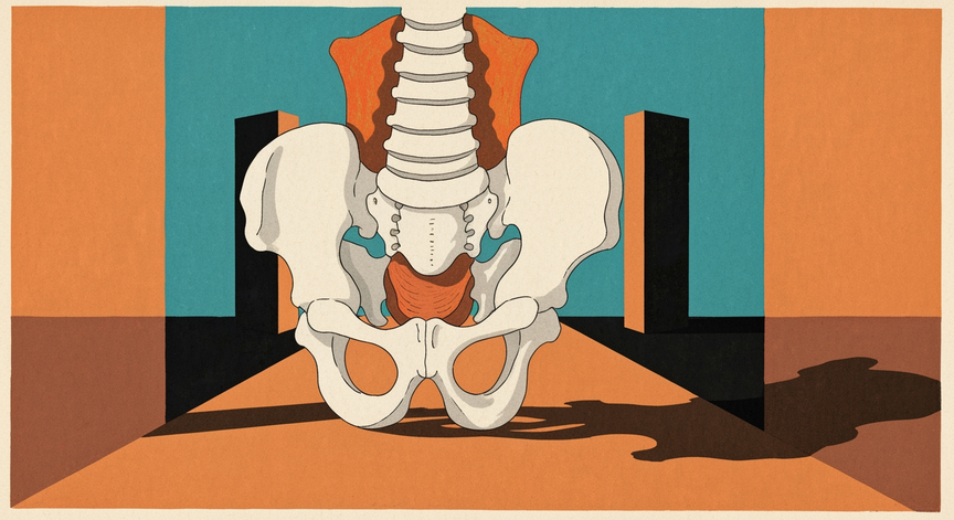 Digital Rectal Examination Techniques