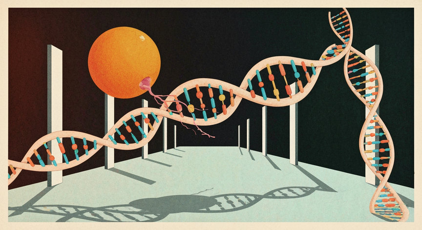 RNA Polymerase: The Transcription Maestro