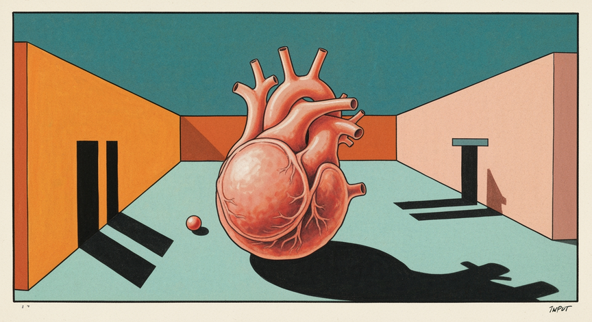 Heart Development Basics