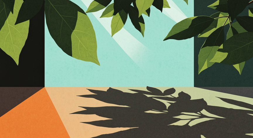 Photosynthesis Explained