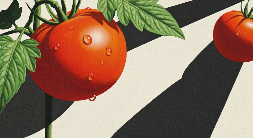Homegrown Tomatoes Made Easy