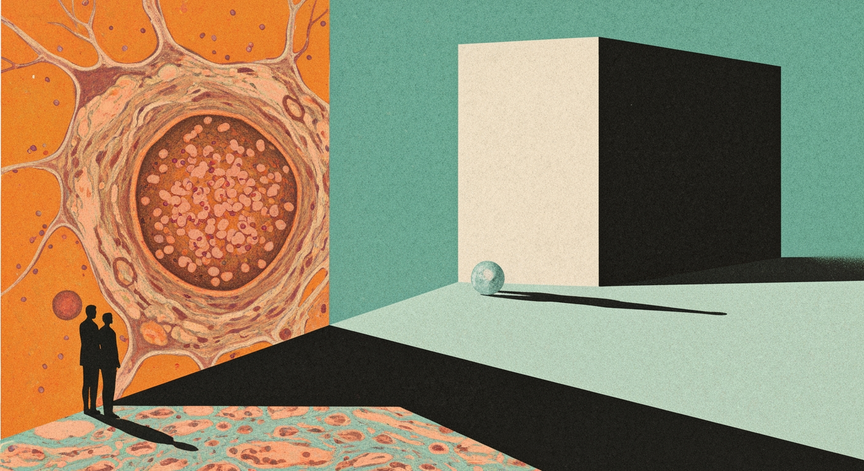 Tau Protein Phosphorylation in Alzheimer's Disease