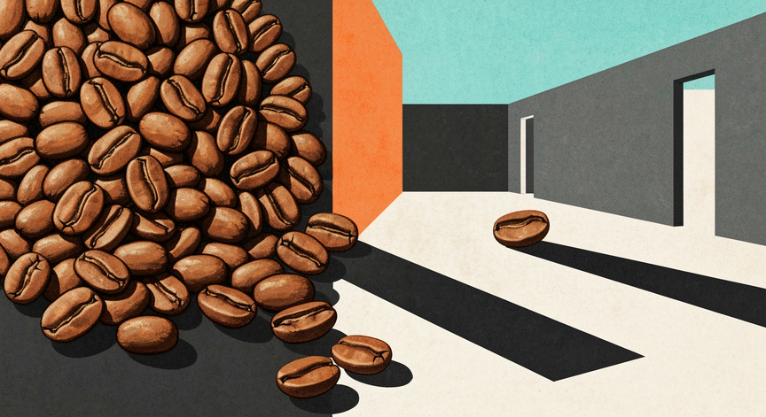 Coffee Fundamentals