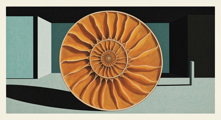 The Fibonacci Spiral Unveiled