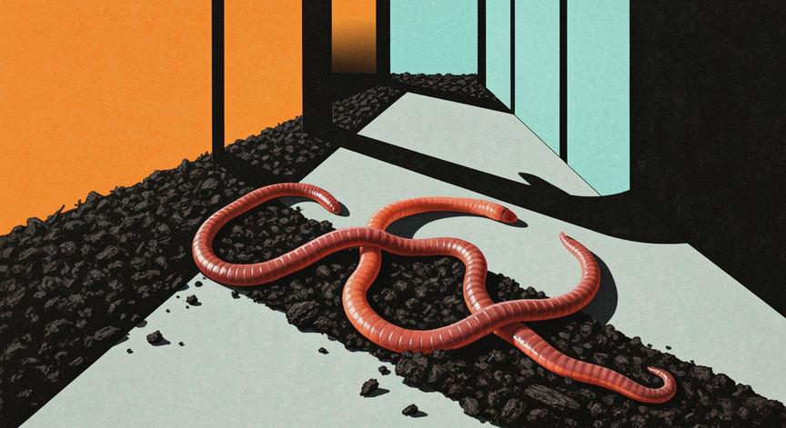 Red Californian Earthworm Farming