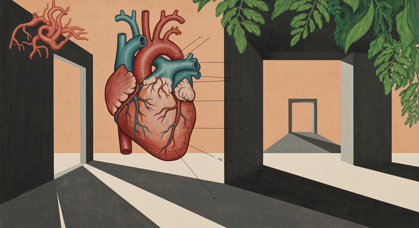 Introduction to Cardiology