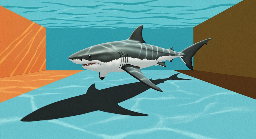 Are Sharks Fish