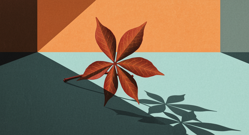 The Surprising Benefits of Poison Ivy