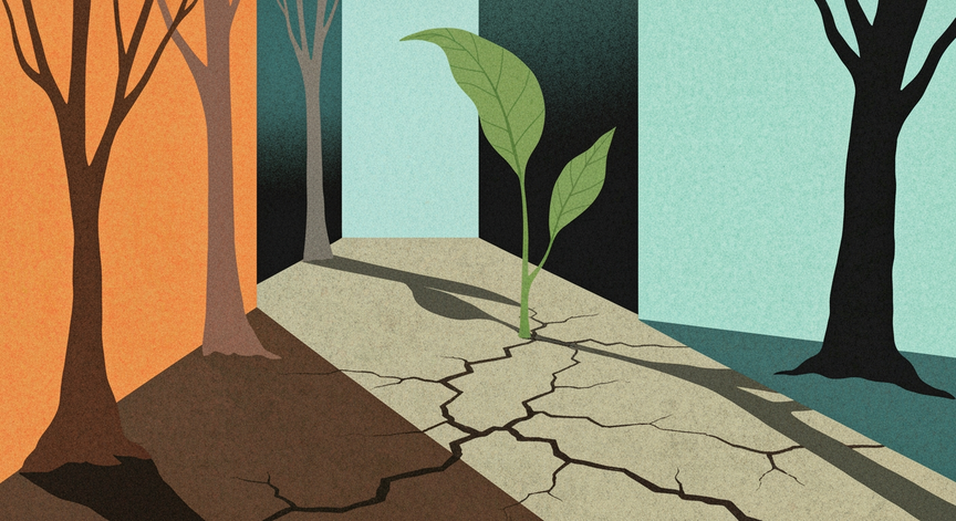 Trauma-Informed Mindfulness for Psychologists