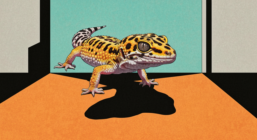 Leopard Gecko Care Essentials